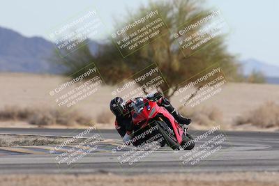 media/Nov-30-2025-TrackXperience (Sun) [[c0061d280f]]/2-Level 2/Session 6 Turn 4 Tree of Life/